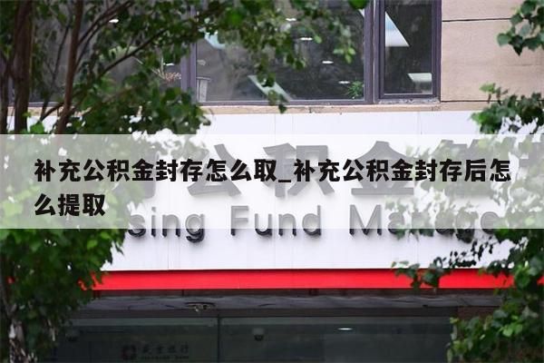 补充公积金封存怎么取_补充公积金封存后怎么提取